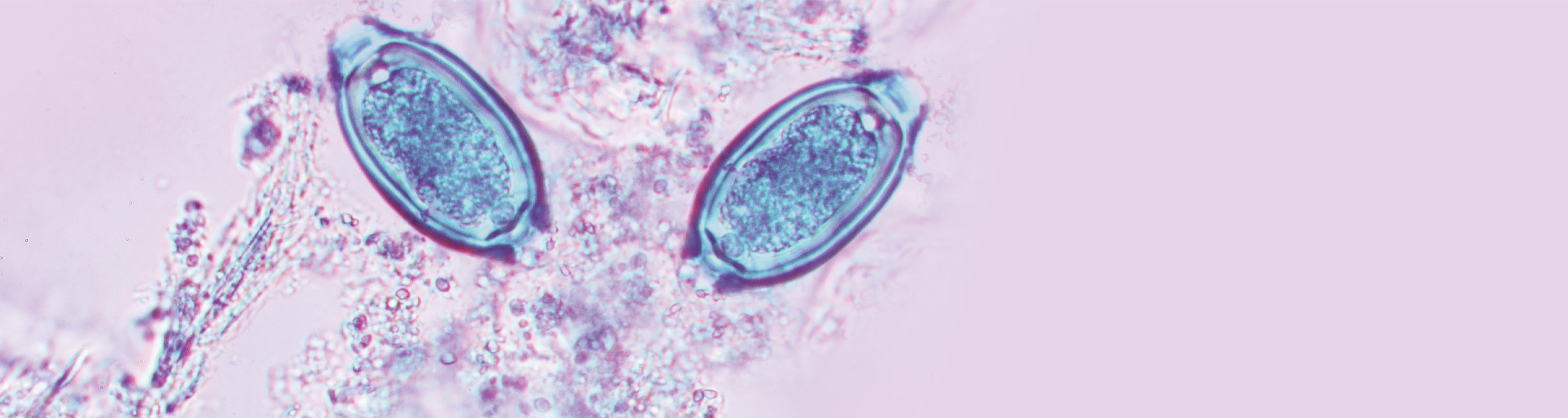 Biology